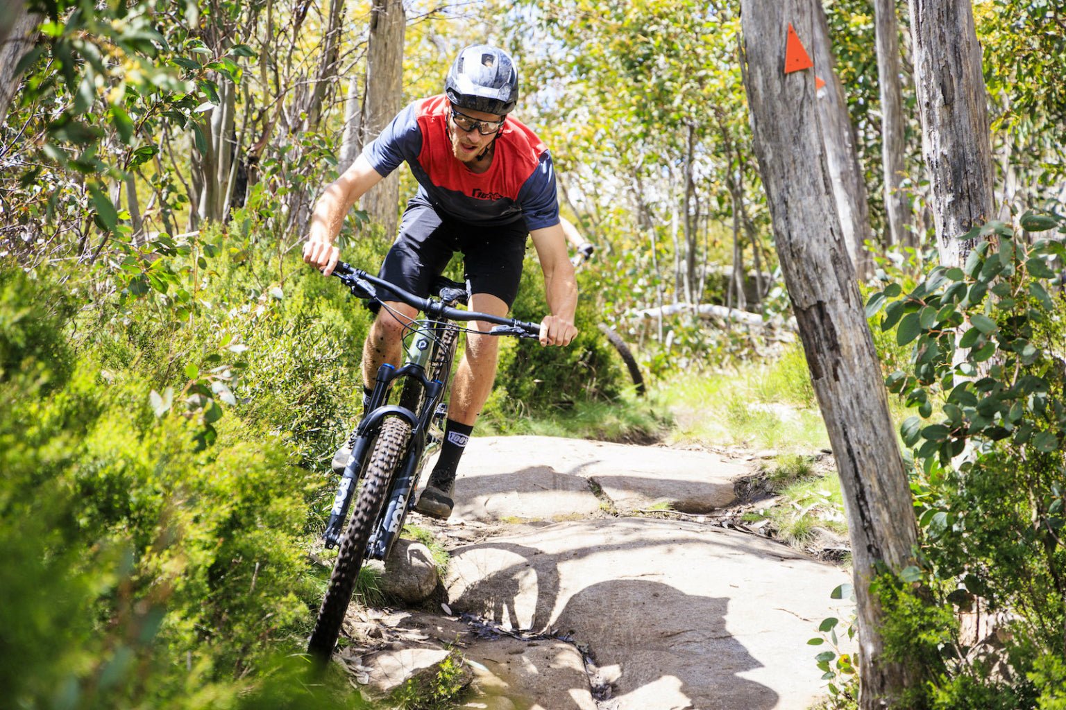 Polygon Collosus N9 Mountain Bike - 29