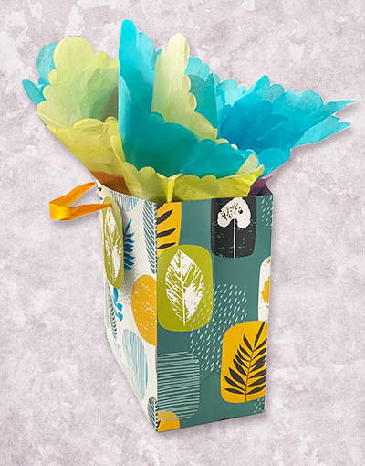 Forest of Fun Medium Square Gift Bags - Premium Party Favor Bags for Birthdays, Weddings & Baby Showers - Bulk Pack of 50