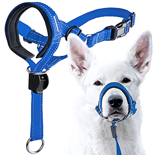Blue Nylon / Black Padding