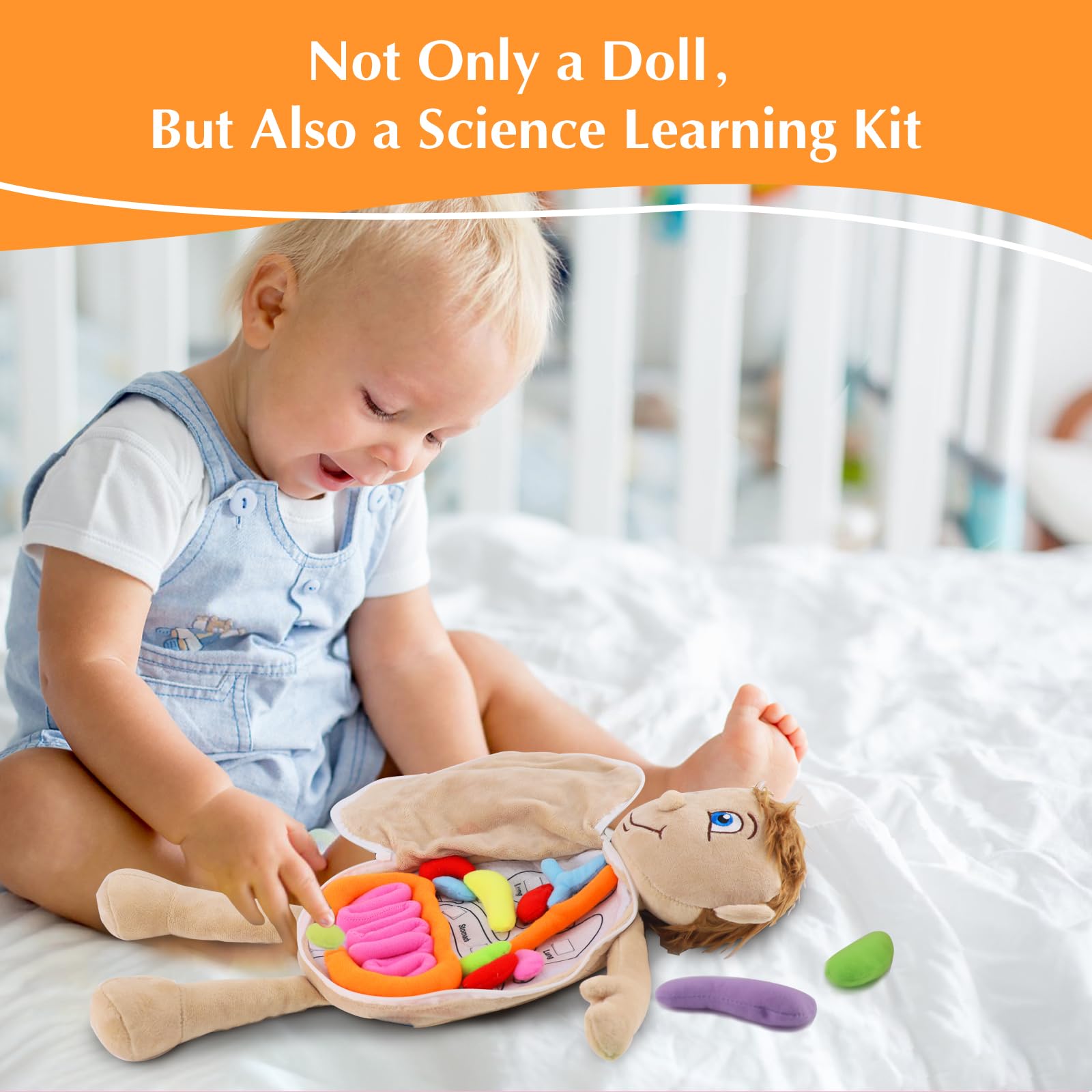 Vocheer Human Body Anatomy Toy - Montessori Preschool Educational Organ Plush Toys for Kids, Science Learning Kit for Students | Body Organ Awareness Teaching Tool for Boys & Girls | Perfect for Classroom, Homeschooling & STEM Learning Activities
