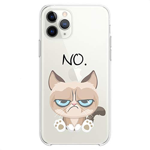 Grumpy Feline