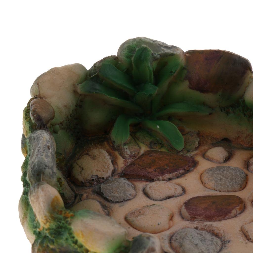SECRET DESIRE Reptile Water Dish & Food Bowl - Heavy Stone Tray for Lizards, Tortoises, Snakes - Perfect Feeding Plate for Terrariums & Reptile Habitats (Use for Water, Food, or Decoration in Reptile Enclosures)