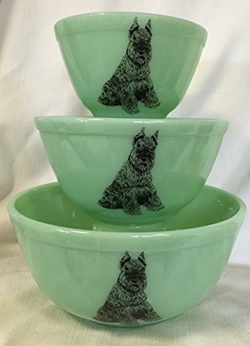 Schnauzer Dog
