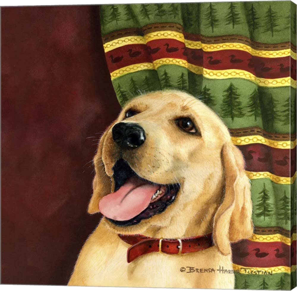 Yellow Labrador Retriever Canvas Wall Art - 16x16 Inch Gallery Wrapped Dog Painting by Brenda Tustian - Perfect for Living Room, Bedroom & Office Decor