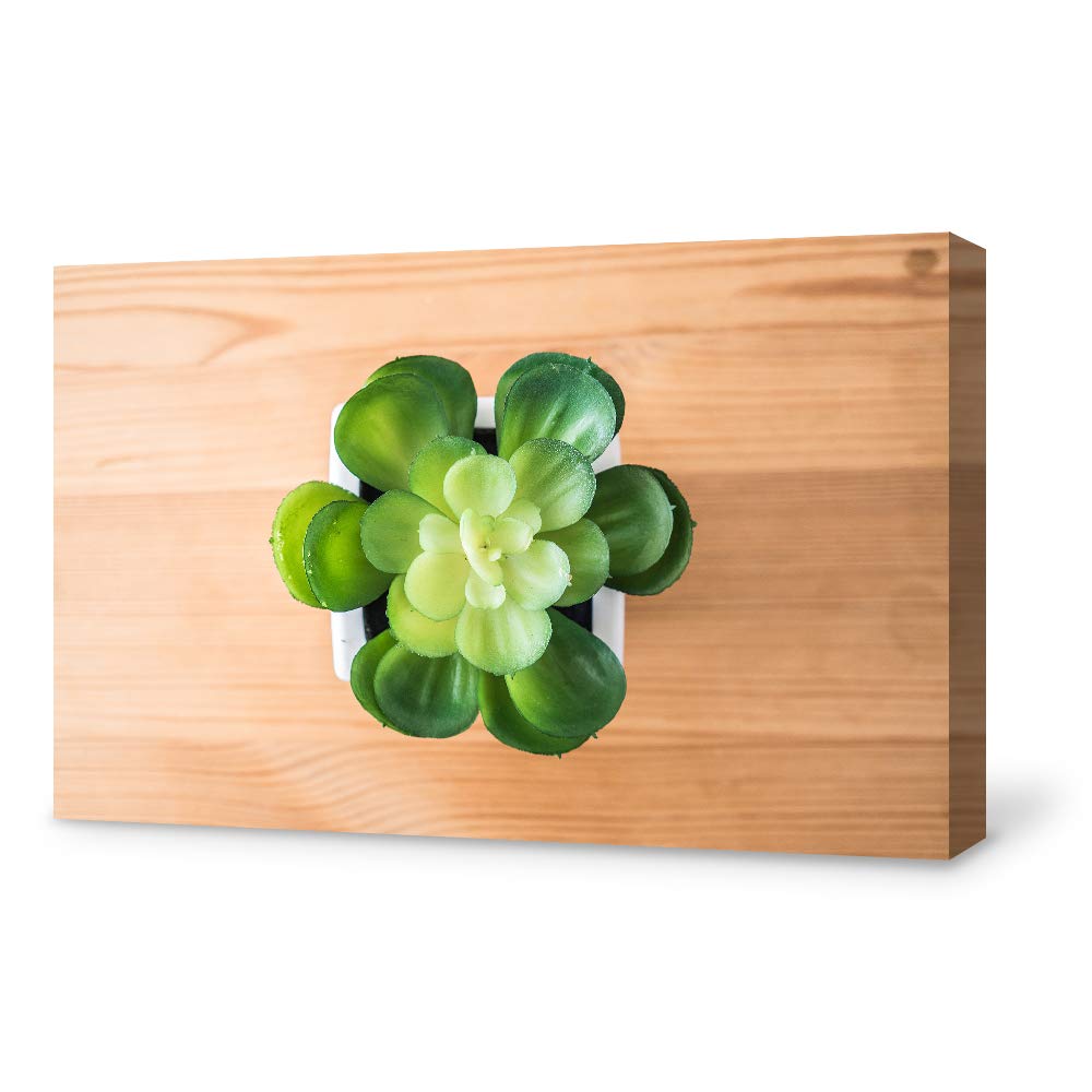 Green Succulent Plant Canvas Wall Art - 12x18 Inch Framed Office & Living Room Decor | Modern Botanical Painting for Home, Bedroom & Workspace