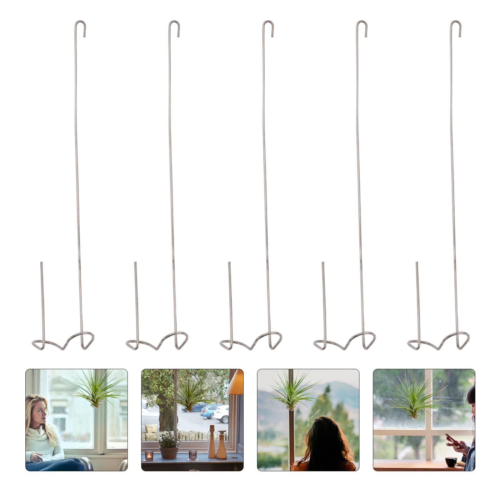 5pcs Metal Air Plant Holder Hanger - Tillandsia Display Rack & Hanging Hook for Air Ferns, Home Decor, Office, Wedding, and Indoor Plant Decorations