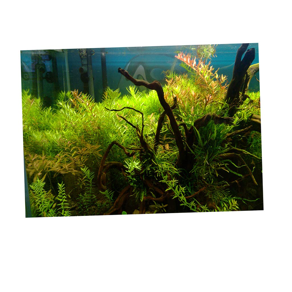 Baoblaze Single Sided Aquarium Background Poster - XL Size Fish Tank Backdrop for Freshwater & Saltwater Vivariums - Perfect for Home Aquariums, Office Decor, and Reptile Terrariums