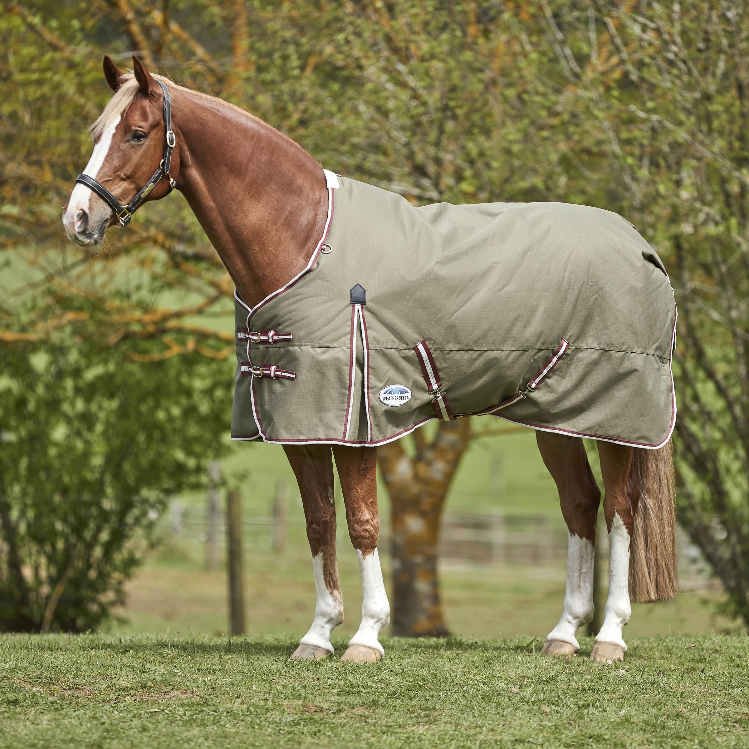 WeatherBeeta ComFiTec Essential Standard Neck Medium Horse Blanket 72