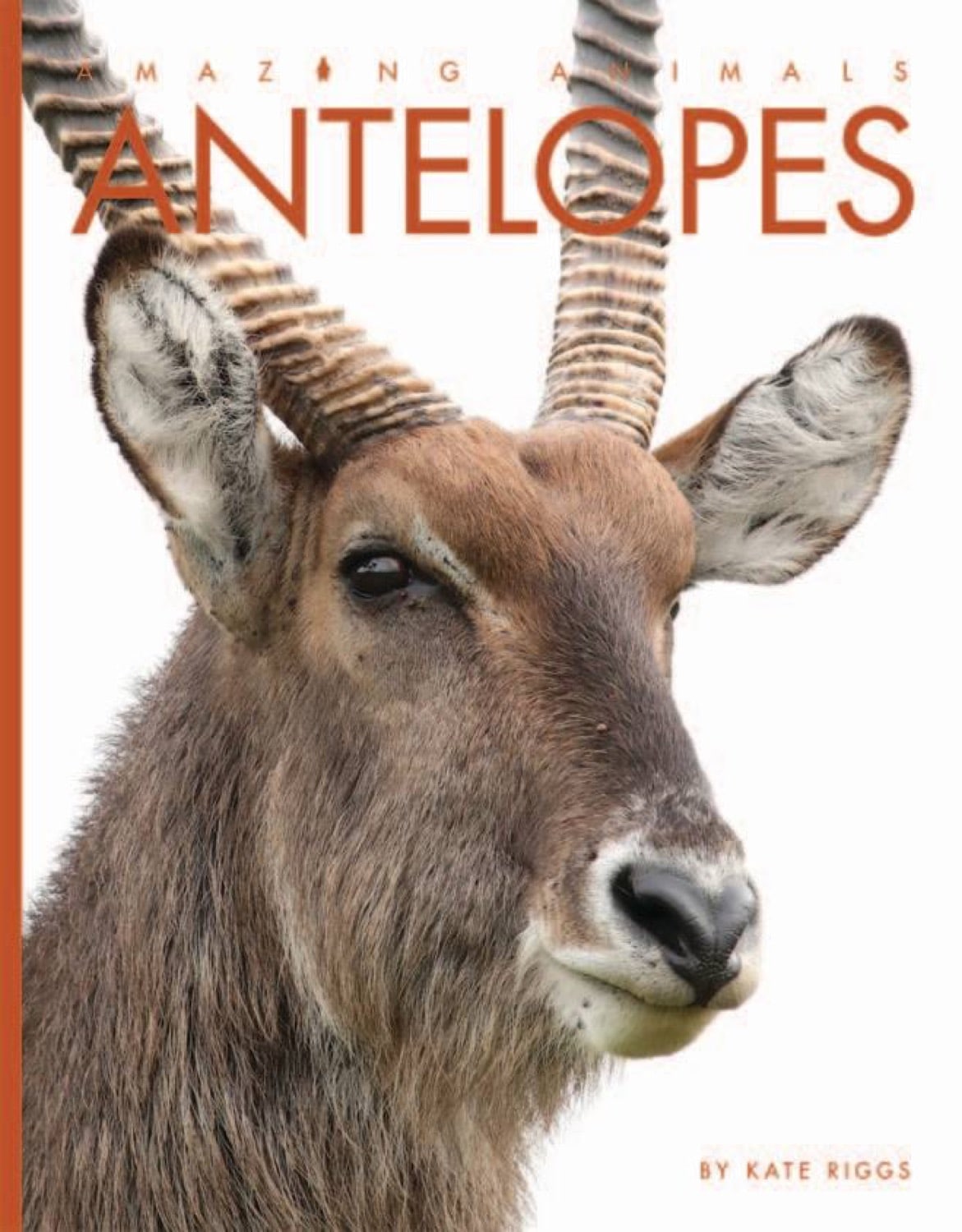 Amazing Animals (2014): Antelopes - Wildlife Documentary DVD | Nature & Animal Lovers Gift | Perfect for Home Education & Classroom Learning