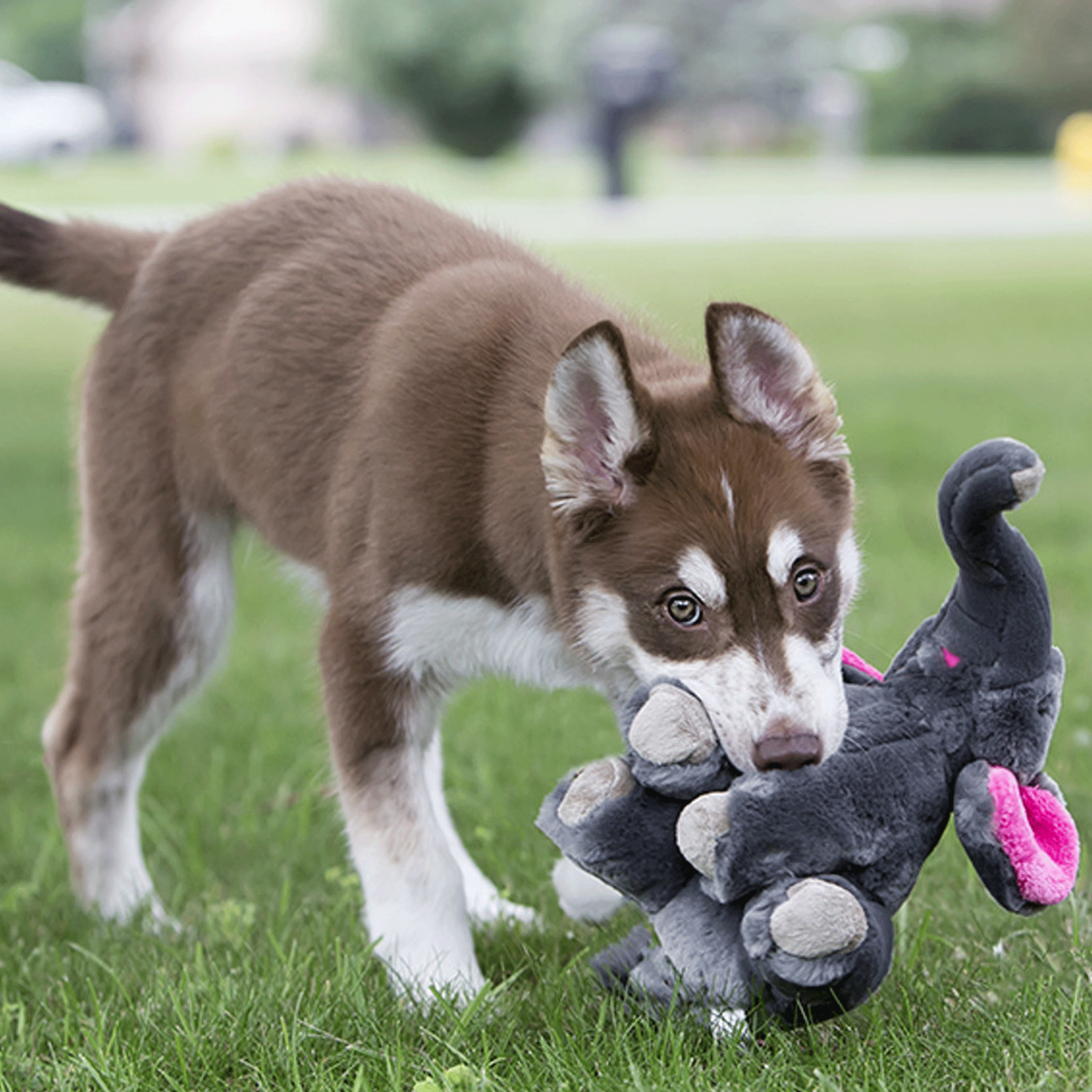 Fluff & Tuff Edsel Elephant Plush Dog Toy - Durable Chew-Proof Stuffed Animal for Aggressive Chewers - Perfect for Indoor Play, Training Rewards & Cuddling