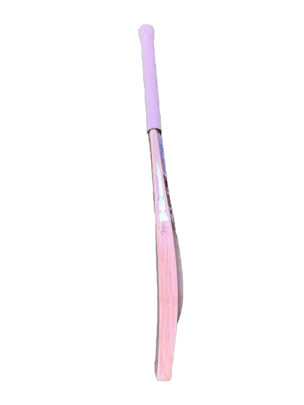 SS Player 3000 Cricket Bat 2025 - Premium English Willow Cricket Bat for Professional Players | Perfect for Tournament Matches & Practice Sessions