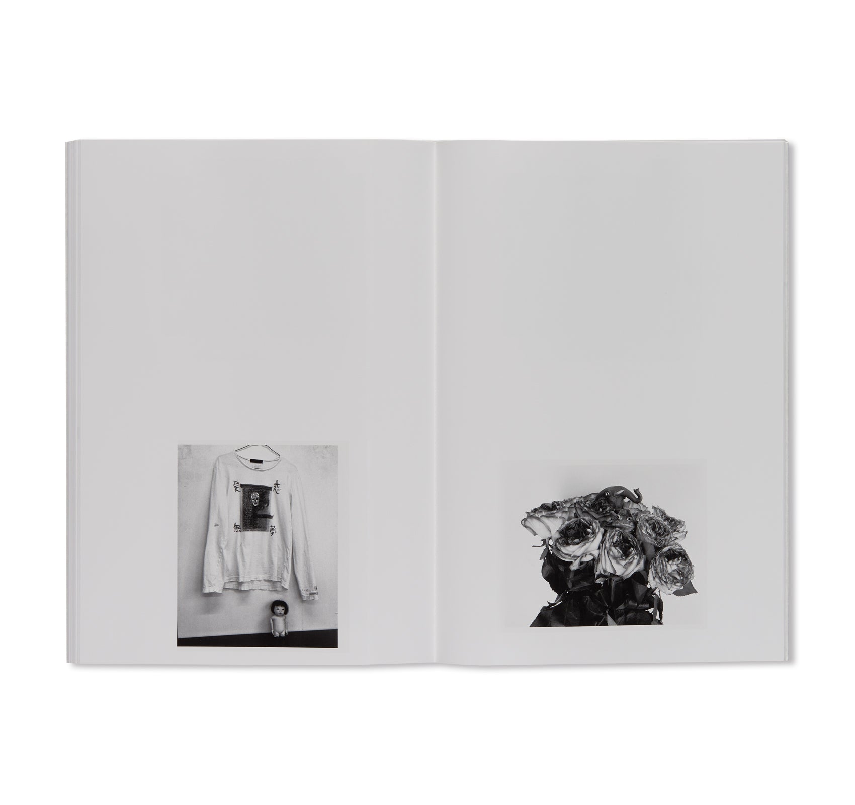 LOVE DREAM, LOVE NOTHING Photobook by Nobuyoshi Araki - Japanese Contemporary Photography Art Book for Collectors and Photography Enthusiasts | Perfect for Home Decor, Art Collections, and Creative Inspiration