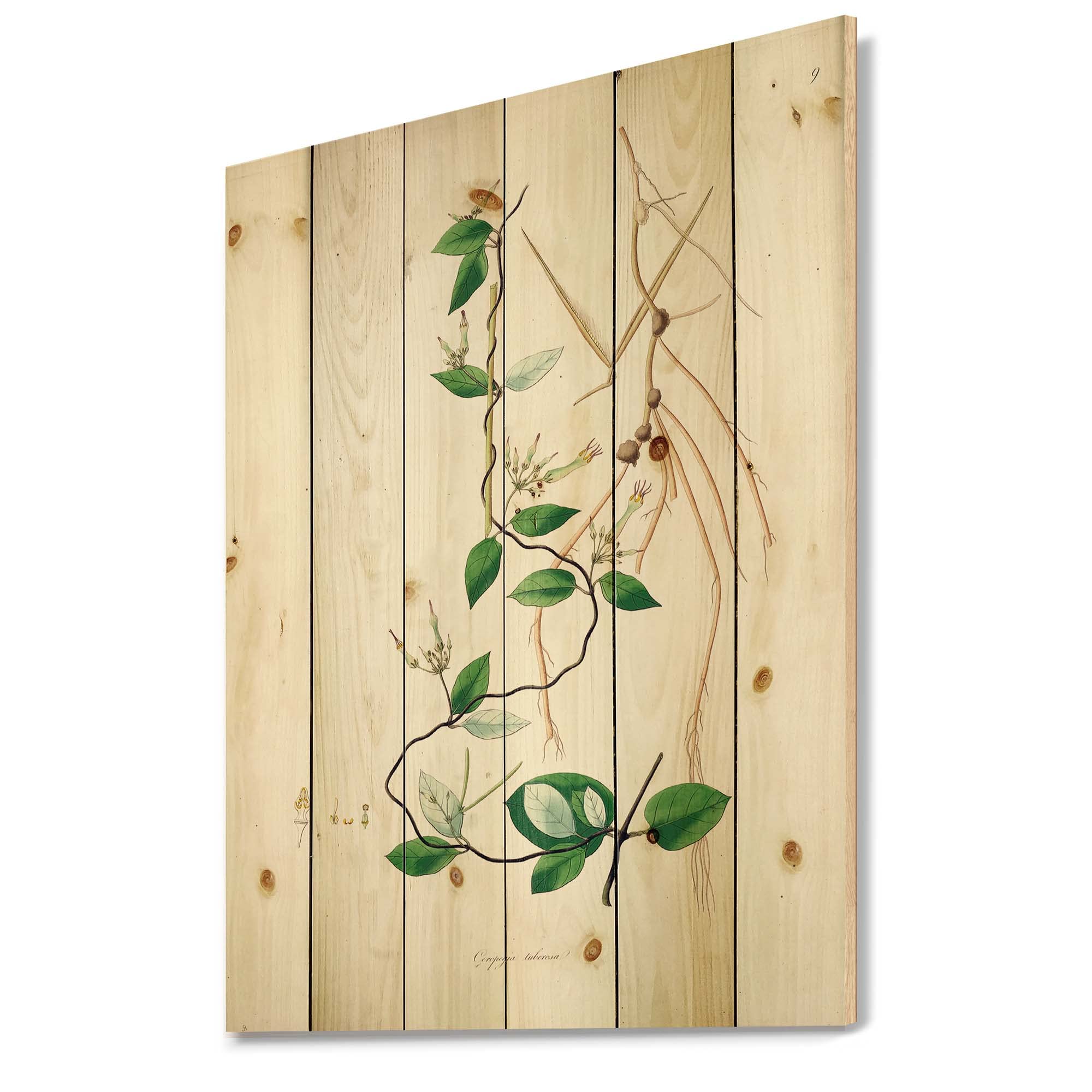 Vintage London Botanical Farmhouse Wood Wall Decor - Large Floral Printed Pine Wood Art Panel - Green Nature-Inspired Wall Hanging for Living Room, Bedroom & Home Office Decor