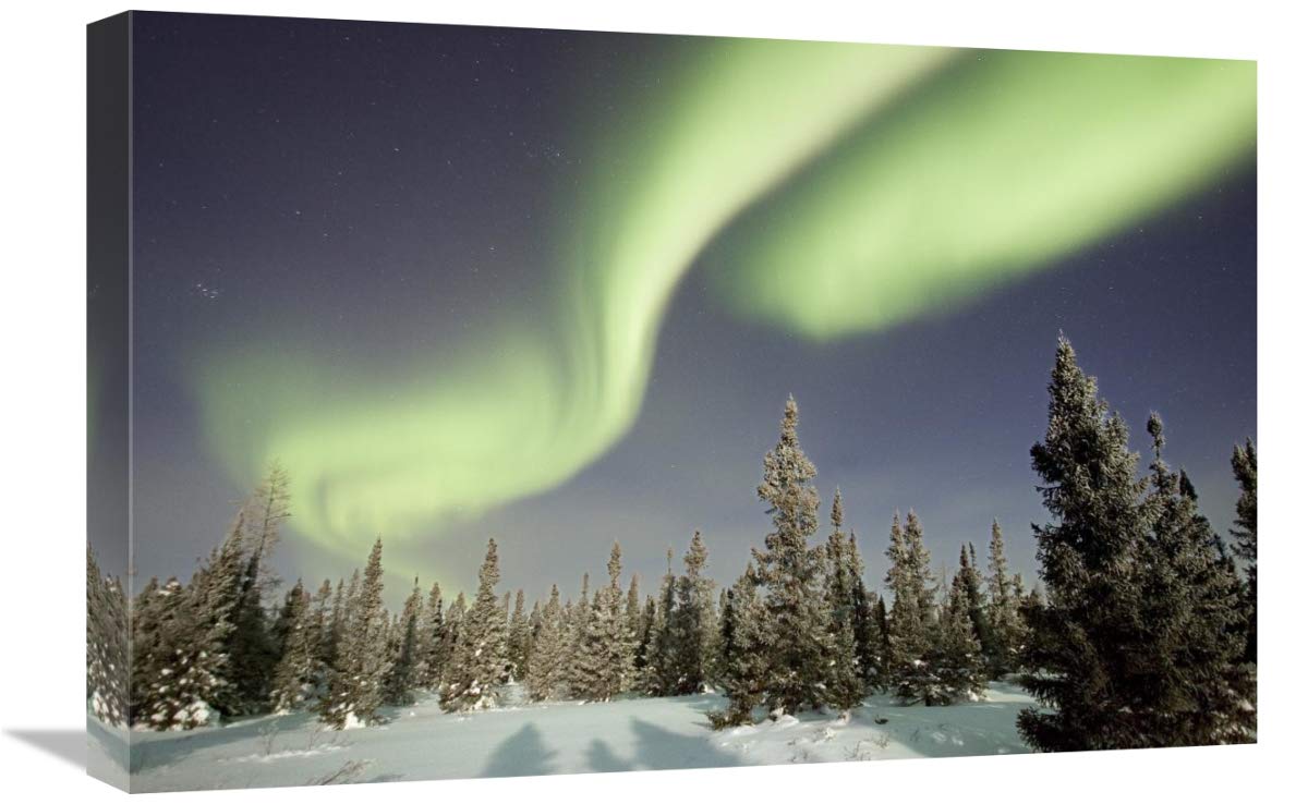 Northern Lights Aurora Borealis Over Boreal Forest Canvas Art Print - 24x16 Inches - Stunning Nature Wall Decor for Living Room, Bedroom & Office