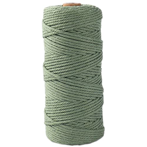 Avocado Green