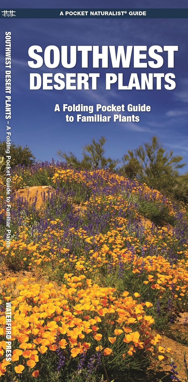 Southwest Desert Plants - Drought-Tolerant Cacti & Succulents for Landscaping & Home Decor | Perfect for Xeriscaping, Rock Gardens & Indoor Plant Displays