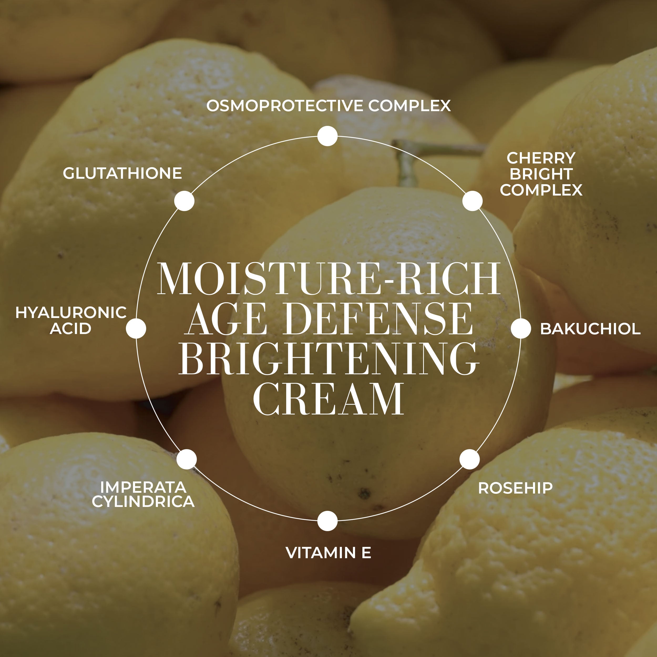 Vita Rich Bakuchiol Glutathione Super Cream - Anti-Aging Face Moisturizer for Wrinkles & Brightening - Day & Night Skincare for Women & Men