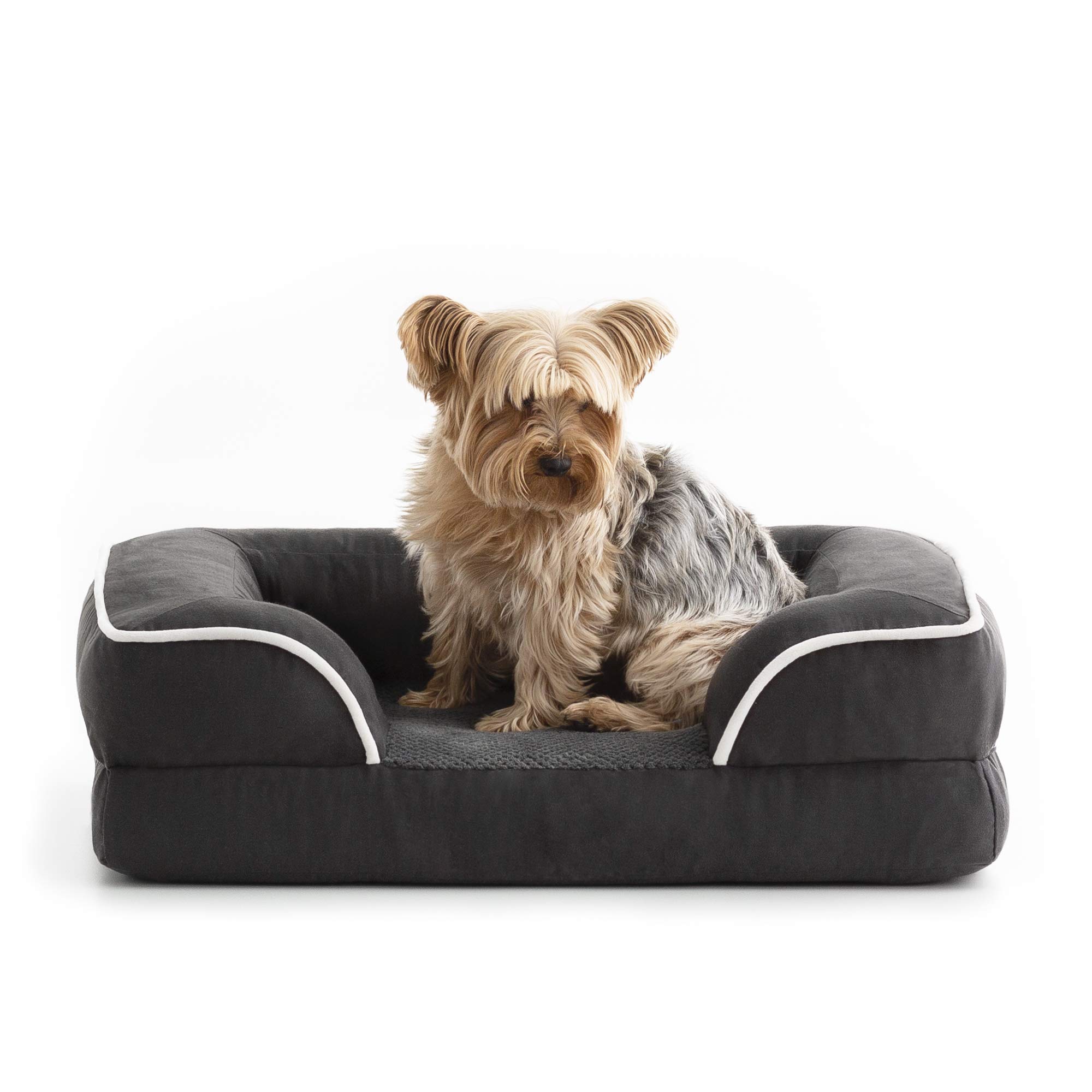 Orthopedic Memory Foam Dog Bed for Medium Dogs - Waterproof Pet Sofa Bed with Removable Washable Cover, Non-Slip Bottom & Joint Pain Relief - Perfect for Living Room, Bedroom & Kennel Use (Charcoal)