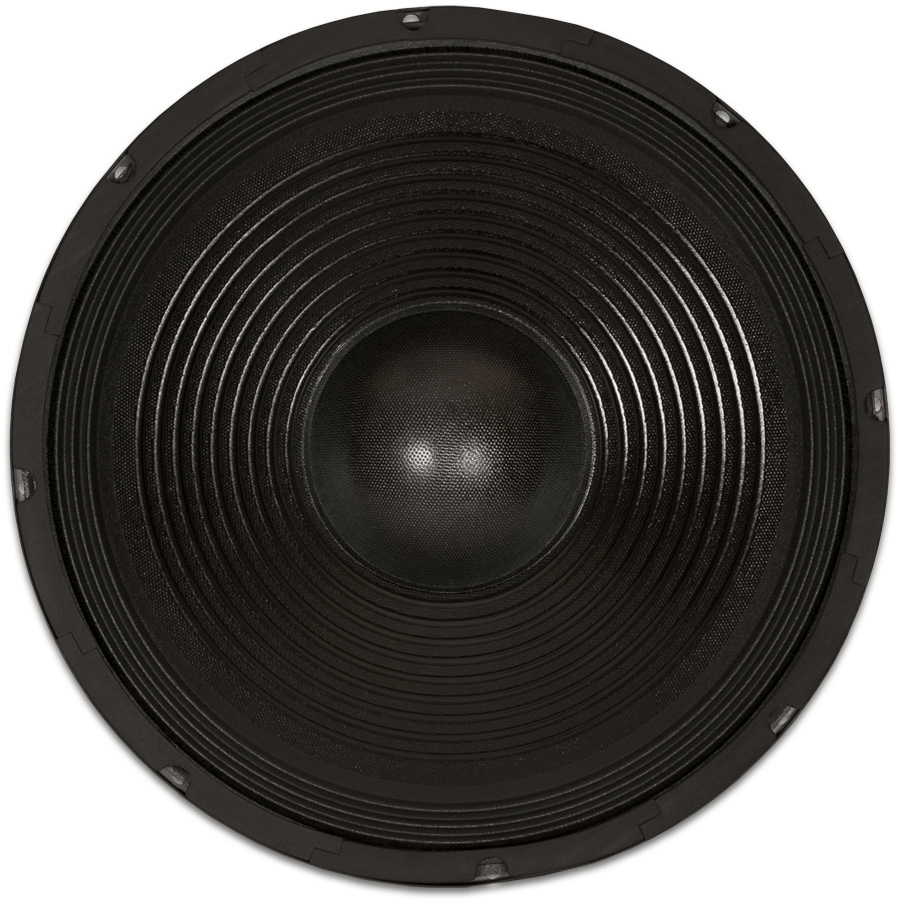 Goldwood GW 1538PA 8 Ohm 15-Inch 140W Professional Sound Woofer Speaker - Perfect for PA Systems, DJ Equipment & Live Sound Reinforcement