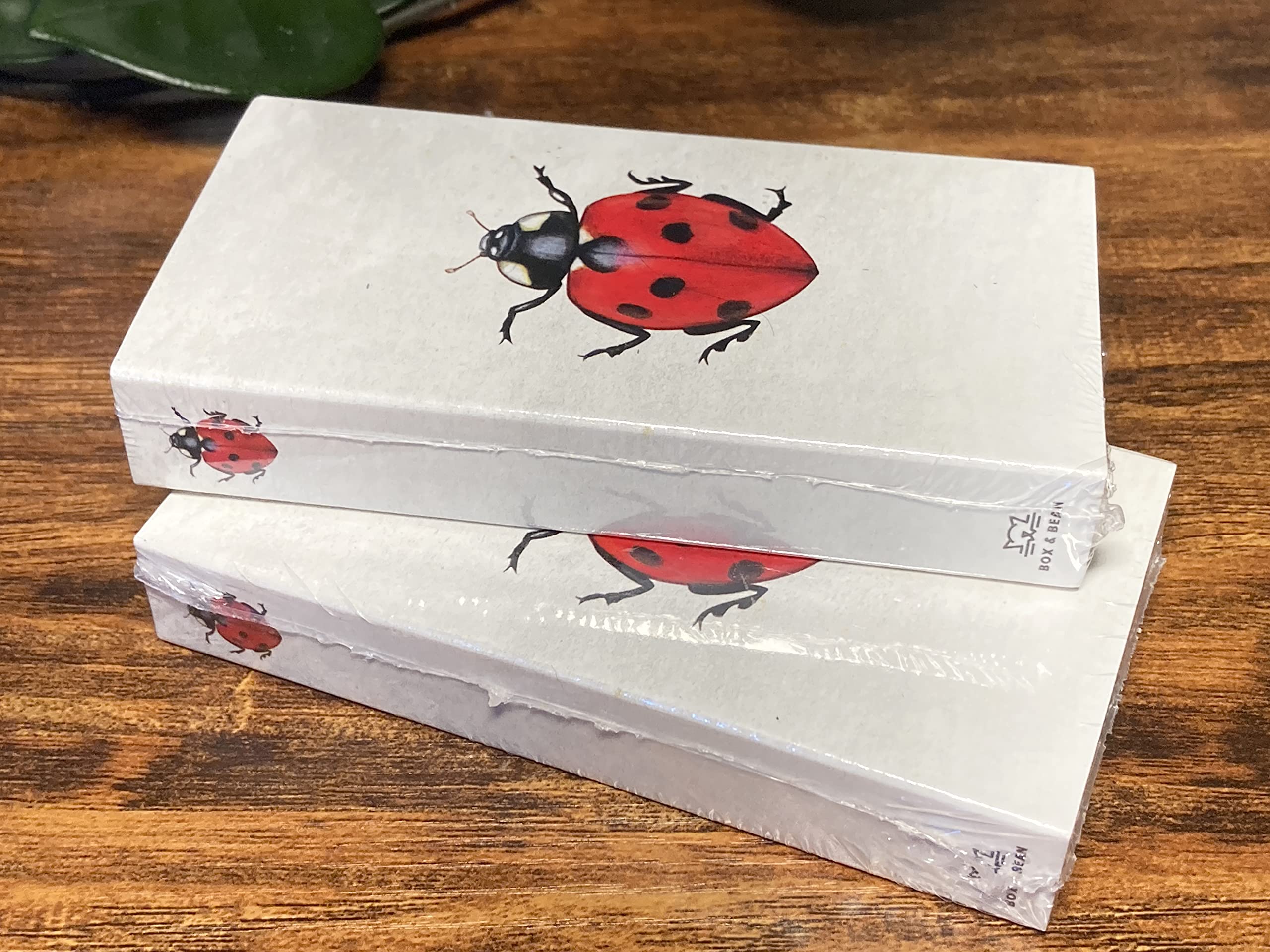 Little Ladybug Decorative Matchboxes with Wooden Matches - Set of 2 for Lighting Candles, Fireplaces, Grills & More | Perfect for Home Decor, Romantic Dinners & Outdoor Camping