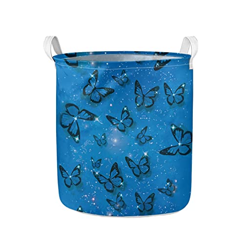 Bright Blue Butterfly