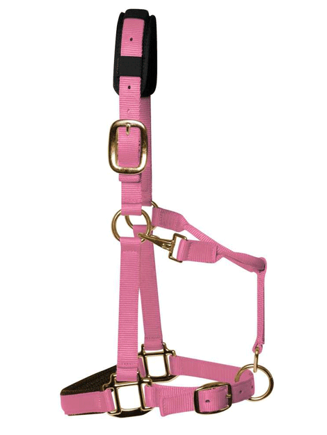 Soft Padded Headcollar for Horses - Comfortable & Adjustable Nylon Halter for Training, Grooming & Show - Perfect for Daily Use & Equestrian Activities
