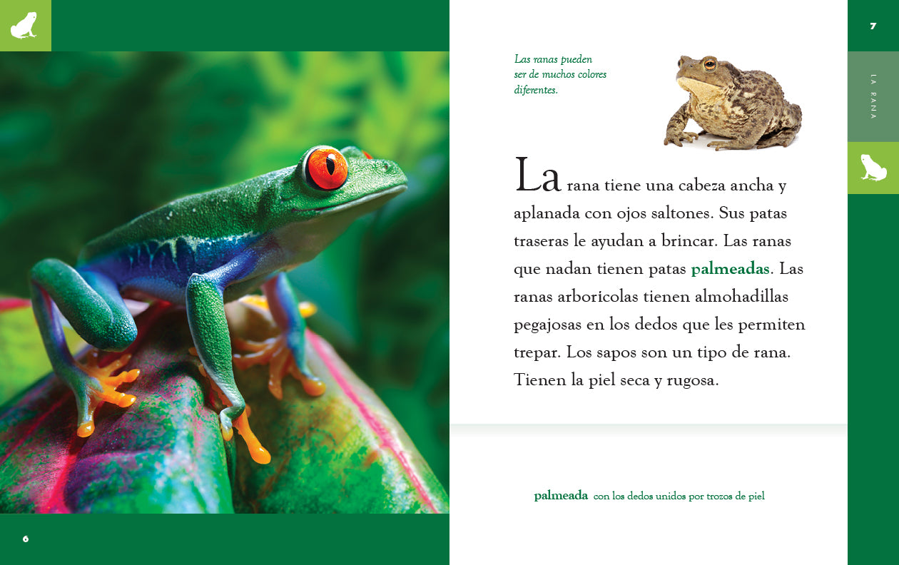La Rana 9781640266919 - Bilingual Children's Book in English and Spanish for Early Learning & Storytime