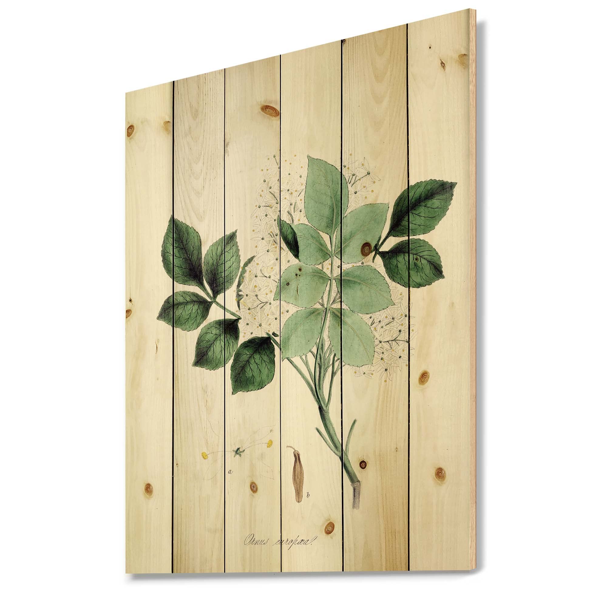Vintage Blossoming Flower Wall Decor - Farmhouse Wood Wall Art, Large Floral Wood Panel Printed on Natural Pine - Perfect for Living Room, Bedroom & Home Decoration