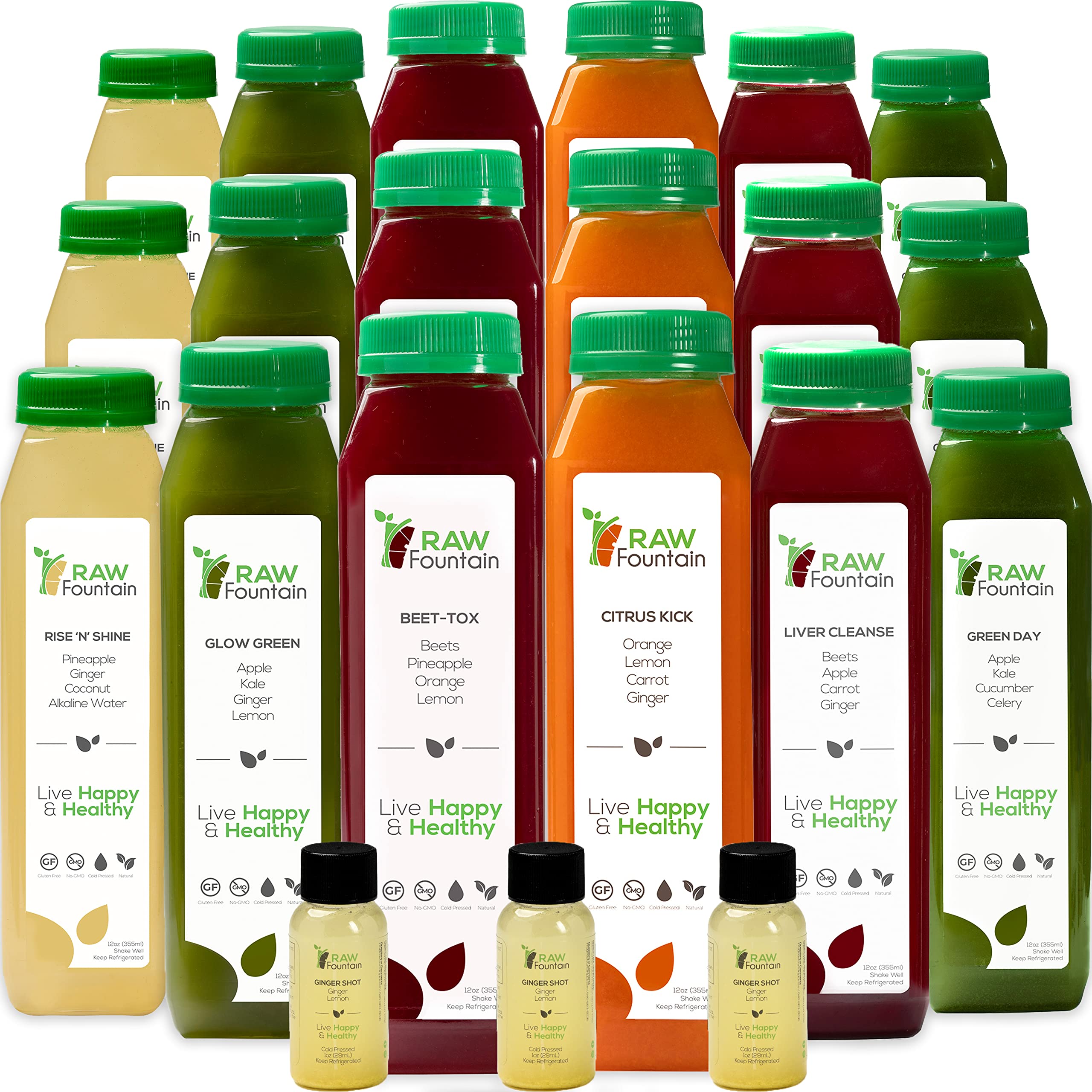 Raw Fountain 3-Day Juice Cleanse Detox - All Natural Cold Pressed Juices for Body Reset & Healthy Diet Jumpstart (18 Bottles 12oz + 3 Ginger Shots) | Perfect for Post-Holiday Detox, Weight Management & Energy Boost