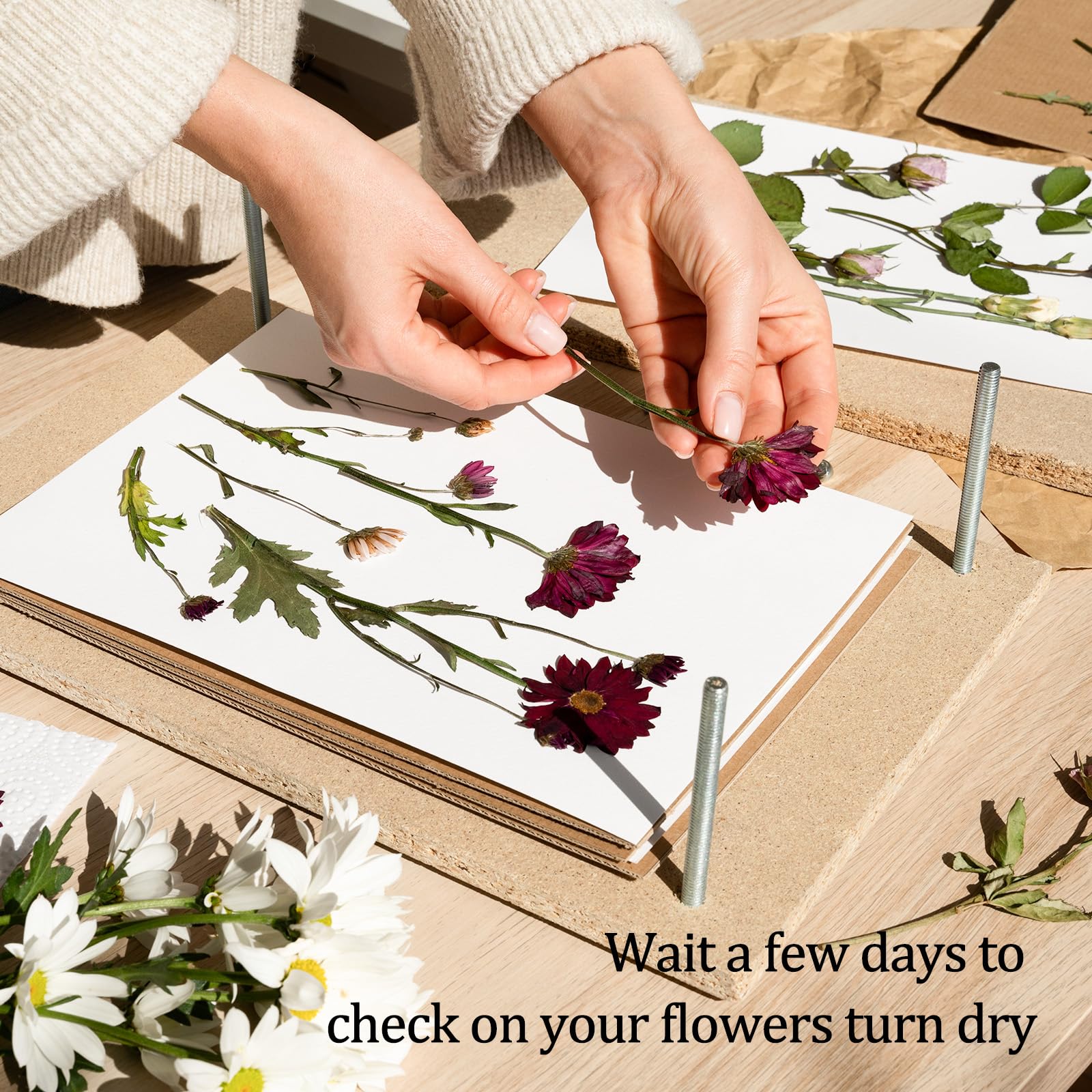 Premium 9x9 Inch Flower Press Blotting Paper - 20 Sheets Highly Absorbent & Reusable for Drying Flowers, Herb Preservation, and Botanical Art Projects - Ideal for DIY Pressed Flower Crafts, Scrapbooking, and Nature Journaling
