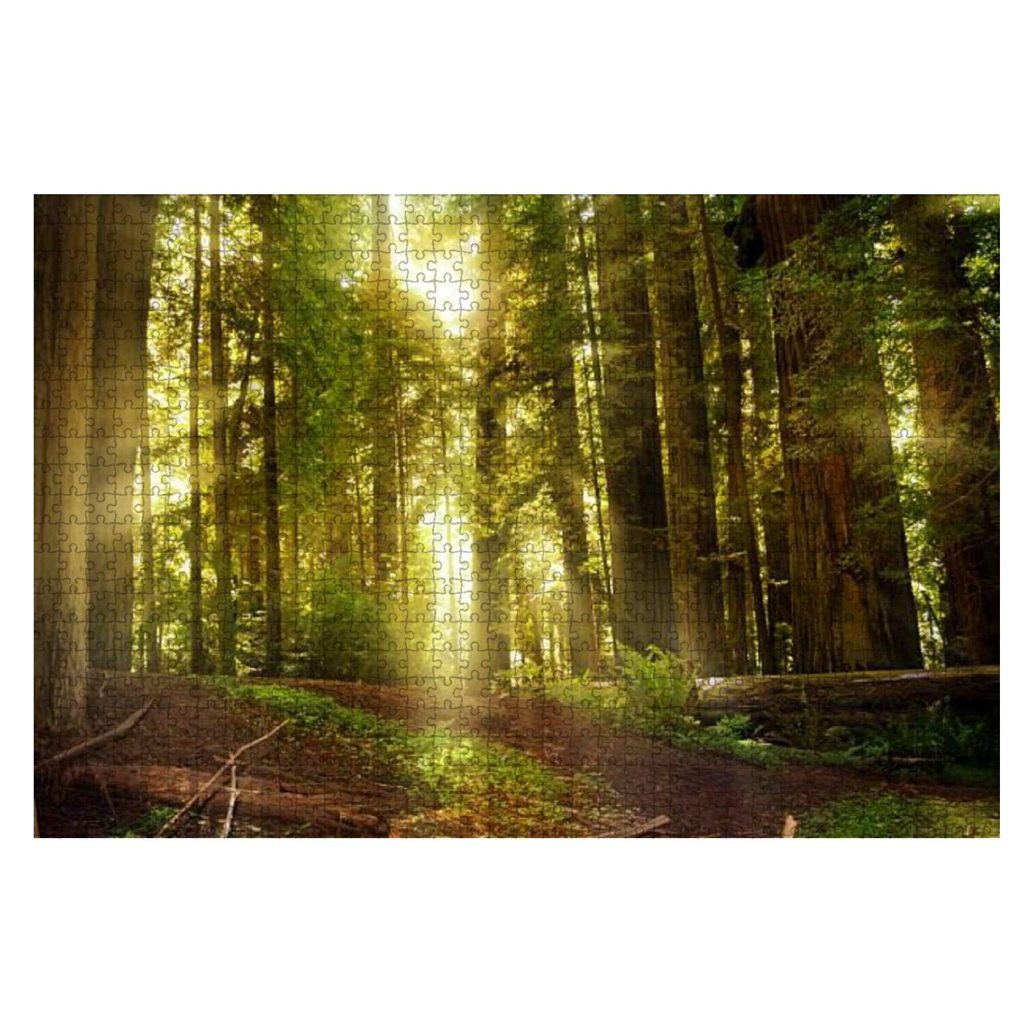 1000-Piece Wooden Jigsaw Puzzle - Redwood Forest DIY Educational Game for Kids & Adults | Home Decor & Stress Relief