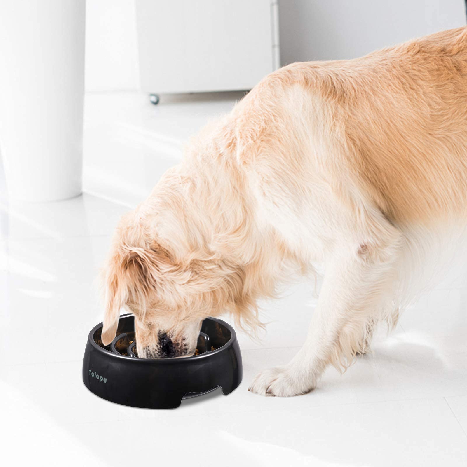 **Large Slow Feeder Dog Bowl – 8 Cup Capacity – Anti-Choking & Anti-Gulping Design – Fun Feeding Solution for Fast Eaters – Perfect for Large Dogs (Black) – Great for Mealtime Safety & Mental Stimulation**