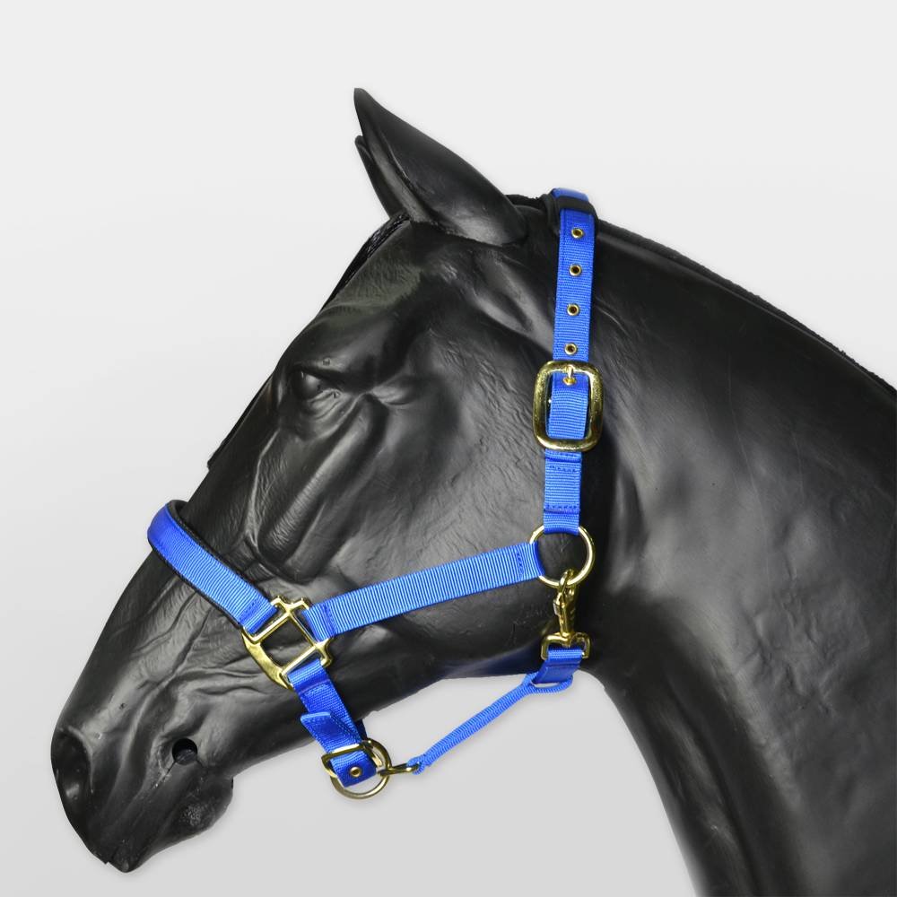 Hy Deluxe Padded Head Collar for Horses - Durable Nylon Lining with Brass Clips & Throat Lash - Soft Padded Nose & Head Protection - Perfect for Training, Riding & Show Events