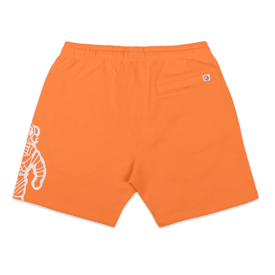 Astro Shorts - Stylish and Comfortable Men's Casual Shorts for Summer | Perfect for Outdoor Activities, Travel, and Relaxation