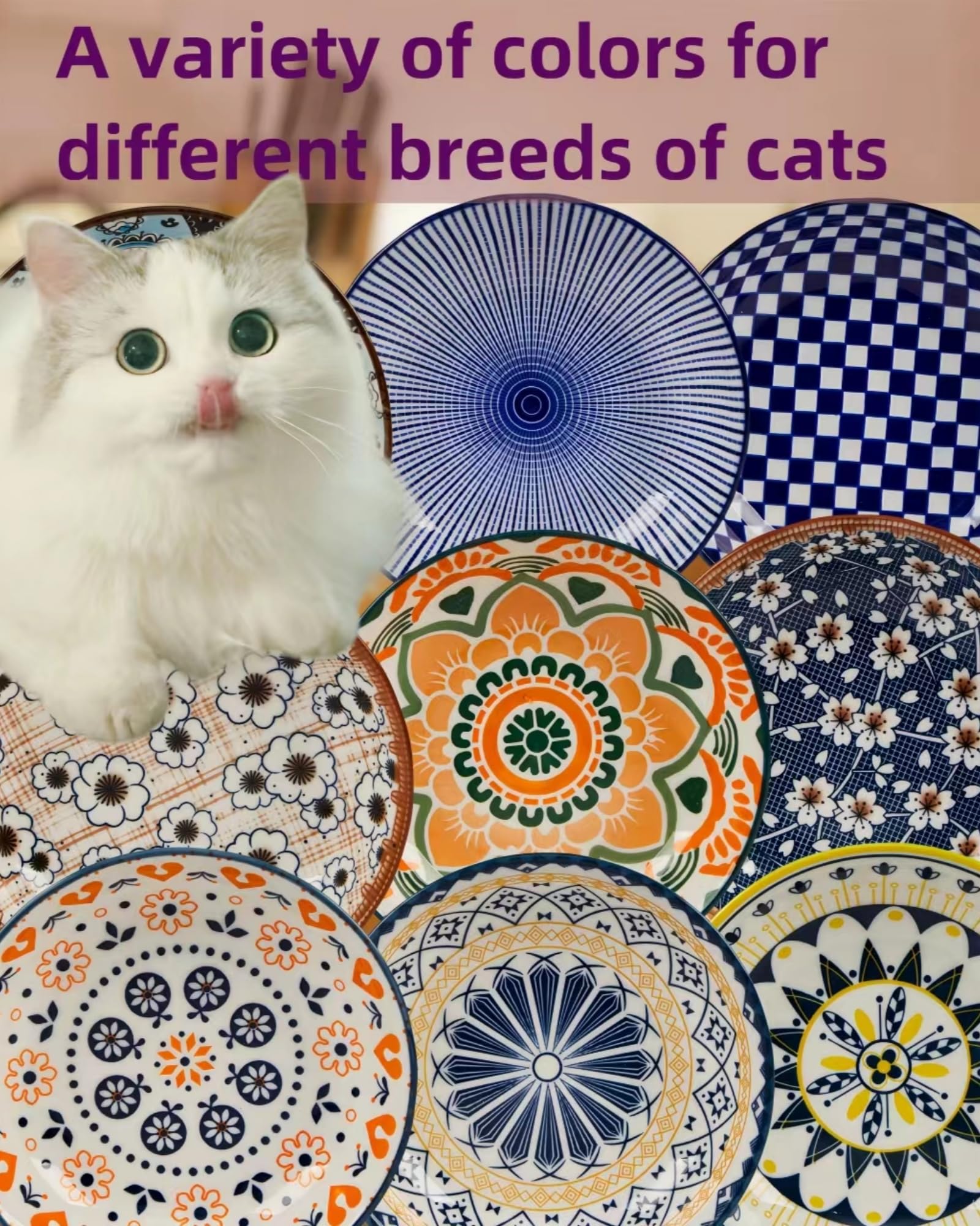 Anti-Slip Ceramic Cat Bowl Set - 5.5 Inch Shallow Pet Food Dish with Silicone Base for Whisker Fatigue Relief | Cute Wide Flat Cat Plates for Indoor Kittens | Perfect for Mealtime Comfort & Noise Reduction in Homes