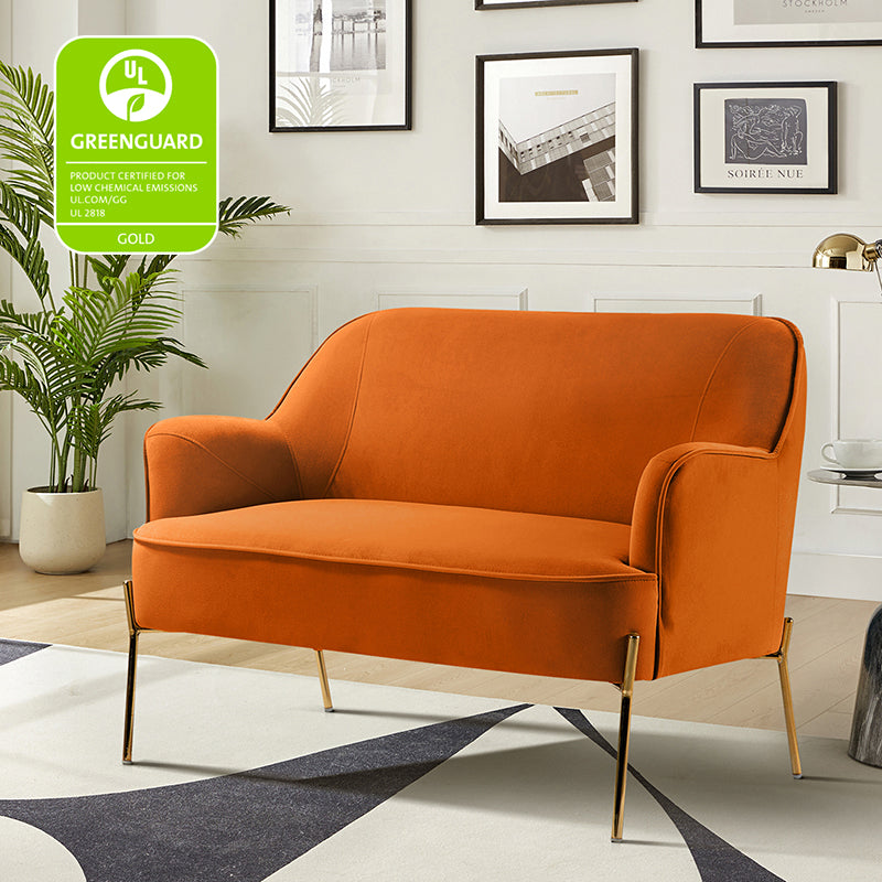Stylish Africa Contemporary Velvet Loveseat Sofa - Modern Velvet Upholstered 2-Seater Couch for Living Room, Lounge & Home Decor