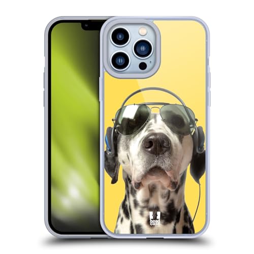 Grooving Dalmatian