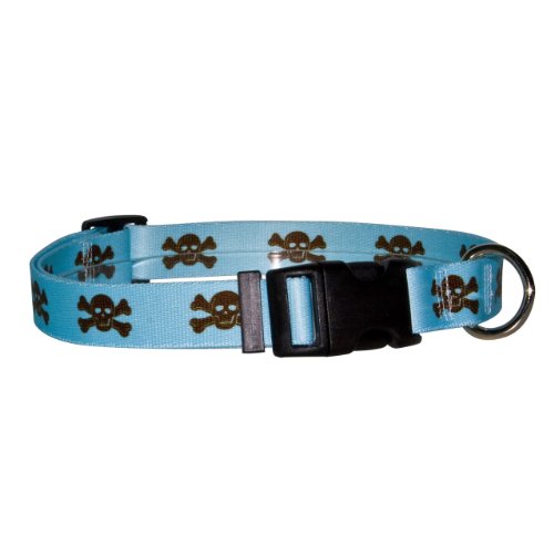 Blue/Brown Skulls