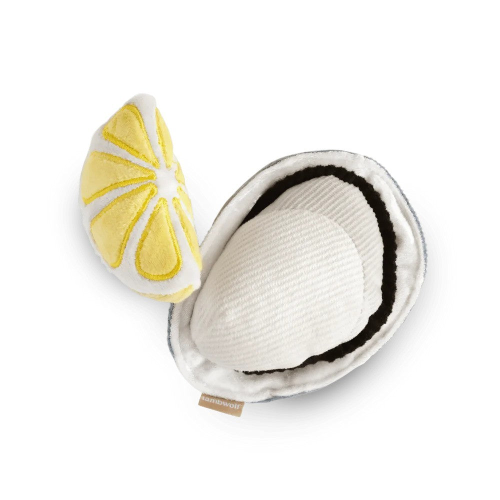 Premium Oyster & Lemon Dog Chew Toy Set - 2 Pack Durable Pet Chew Toys for Small & Medium Dogs - Fun Interactive Puppy Teething Toys for Indoor & Outdoor Play