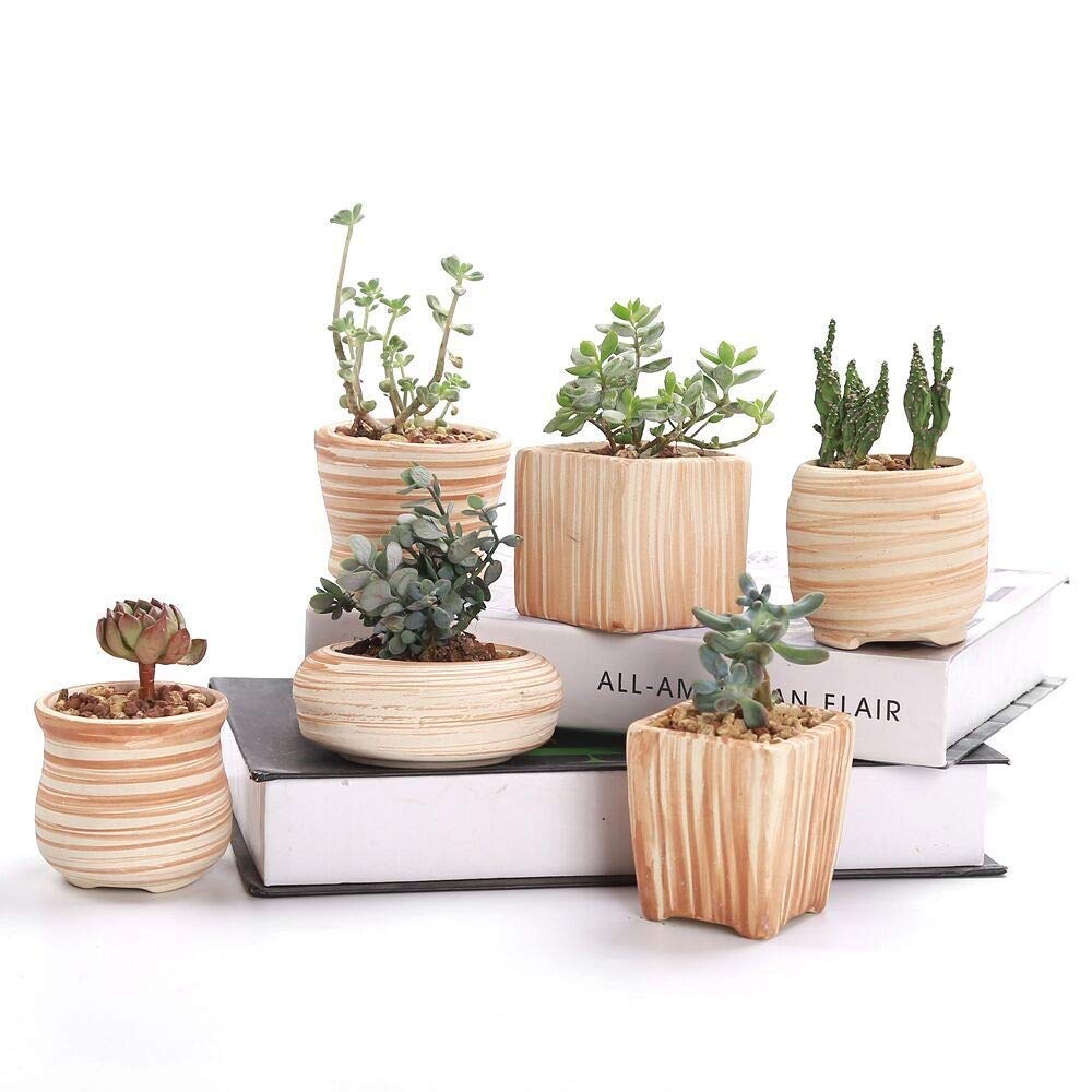 6-Pack 3 Inch Ceramic Succulent Pots with Wooden Pattern - Cactus Planter, Flower Pot, Home Decor Gift for Plant Lovers - Perfect for Windowsill, Office Desk, and Indoor Garden Decor