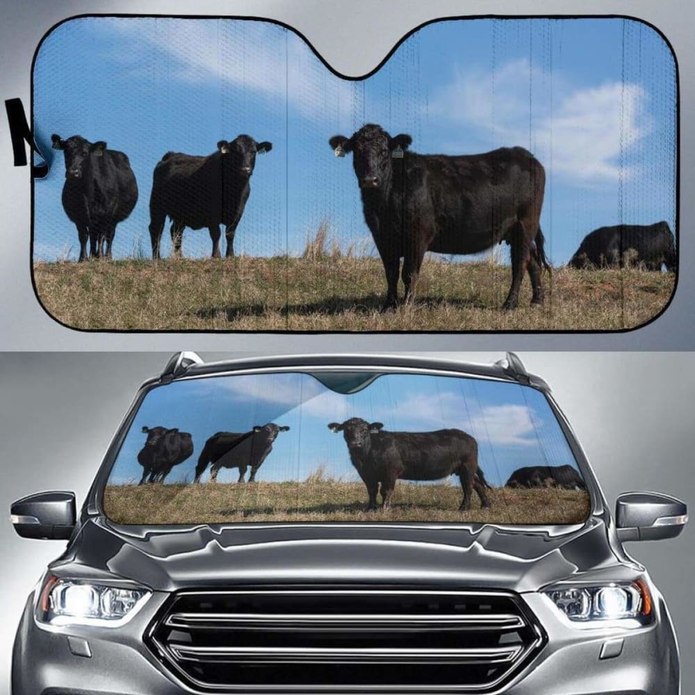Car Windshield Sun Shade for Ford F-150, Custom Fit UV Protection - Perfect for Summer Parking & Road Trips