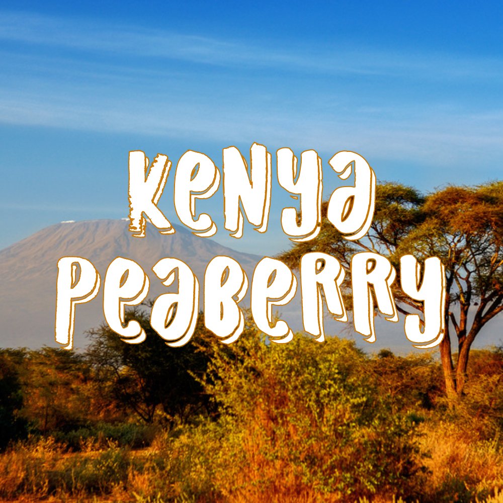 Premium Kenya Peaberry Coffee - Single Origin, Fresh Roasted Gourmet Ground Coffee Beans, 5 lbs - Perfect for Home Brewing, Office Use & Gifts