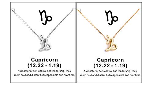 Capricorn