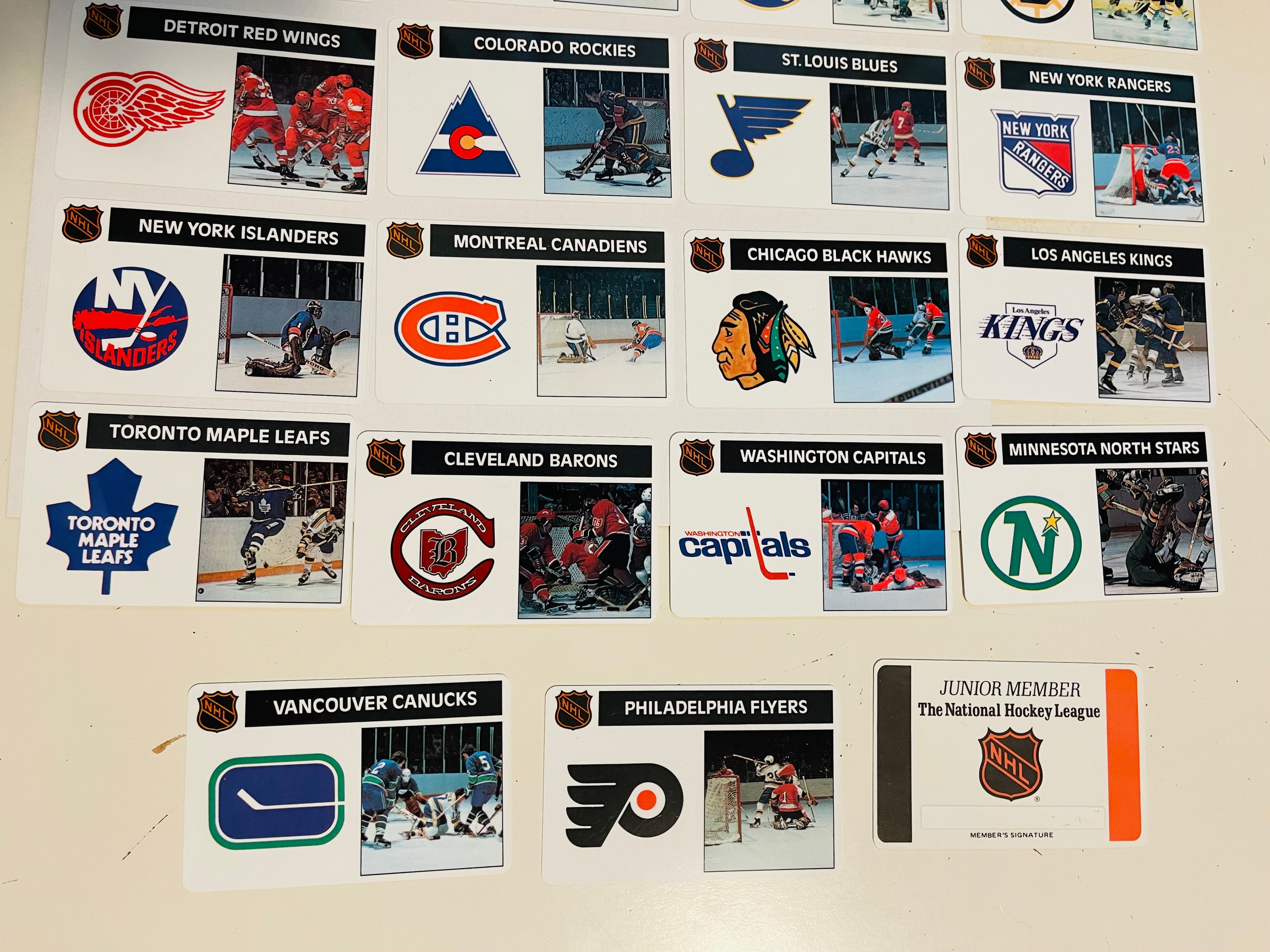 Vintage 1976-77 Popsicle Hockey 19 Rare Trading Cards Set with Membership Card - Collectible Sports Memorabilia for Hockey Fans & Card Collectors (Perfect for Display, Gifts, and Nostalgic Collections)
