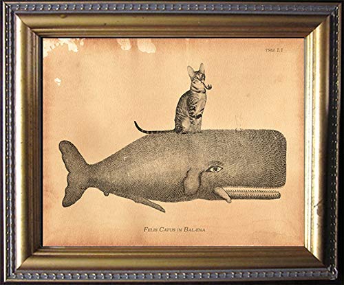Vintage Serengeti Cat Riding Whale Collage Art Print - Semi-Matte Photo with Tea-Stained Background - Unique Dog Lover Gift for Dog Moms - Perfect Wall Decor for Pet Lovers & Animal Enthusiasts - Great for Living Room, Bedroom or Office Decoration