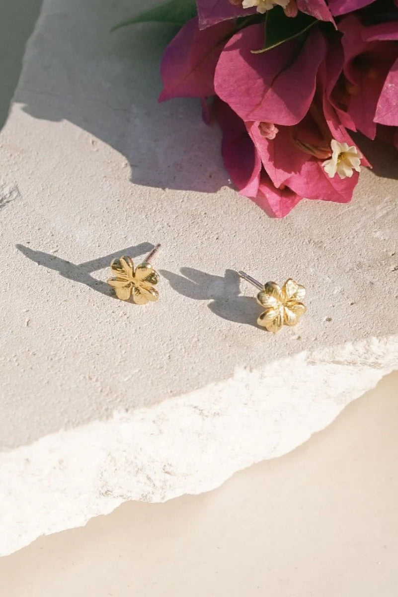 Lucky Clover Stud Earrings for Women - Brass Four Leaf Clover Jewelry - Perfect for St. Patrick's Day, Gifts & Everyday Wear
