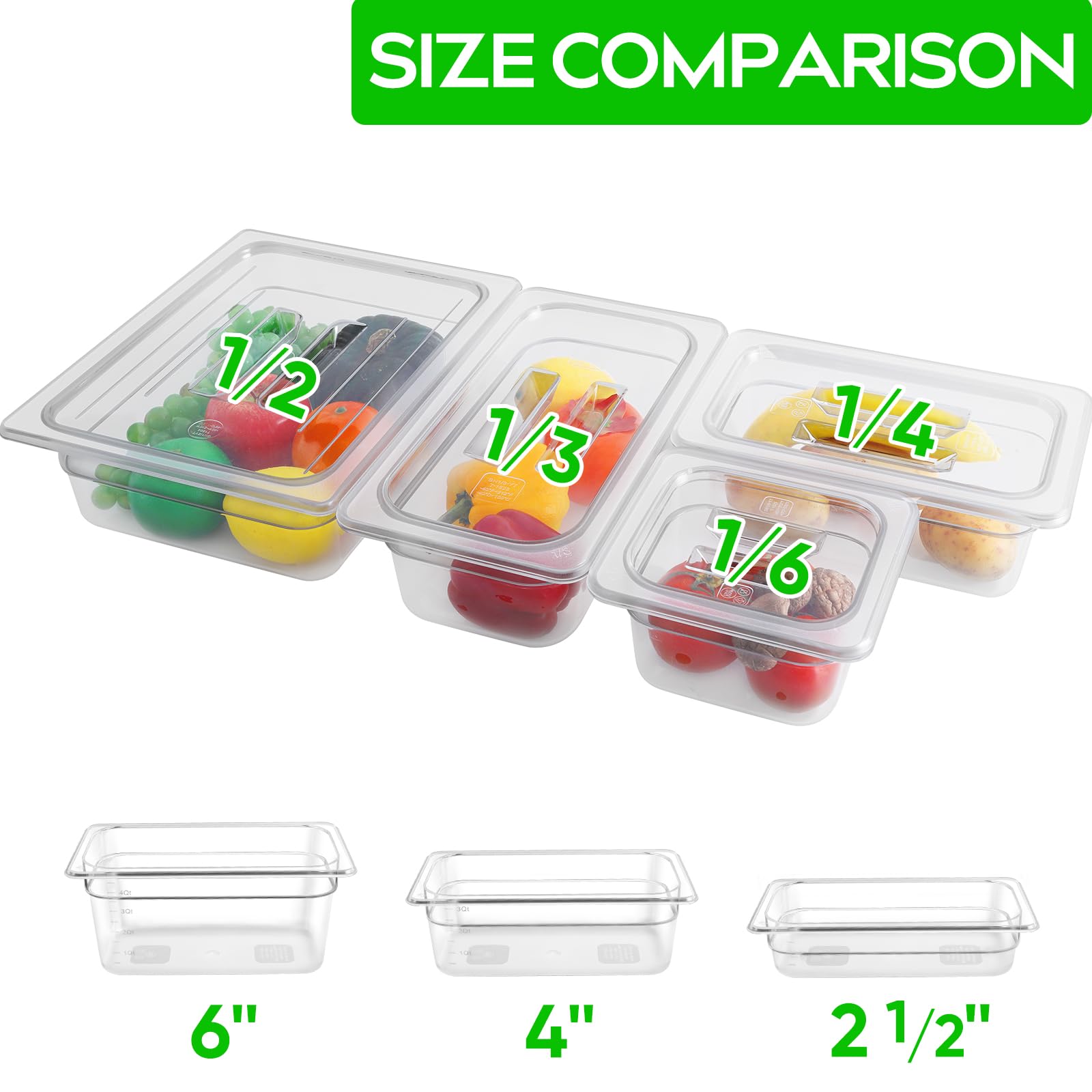6 Pack 1/3 Size 6