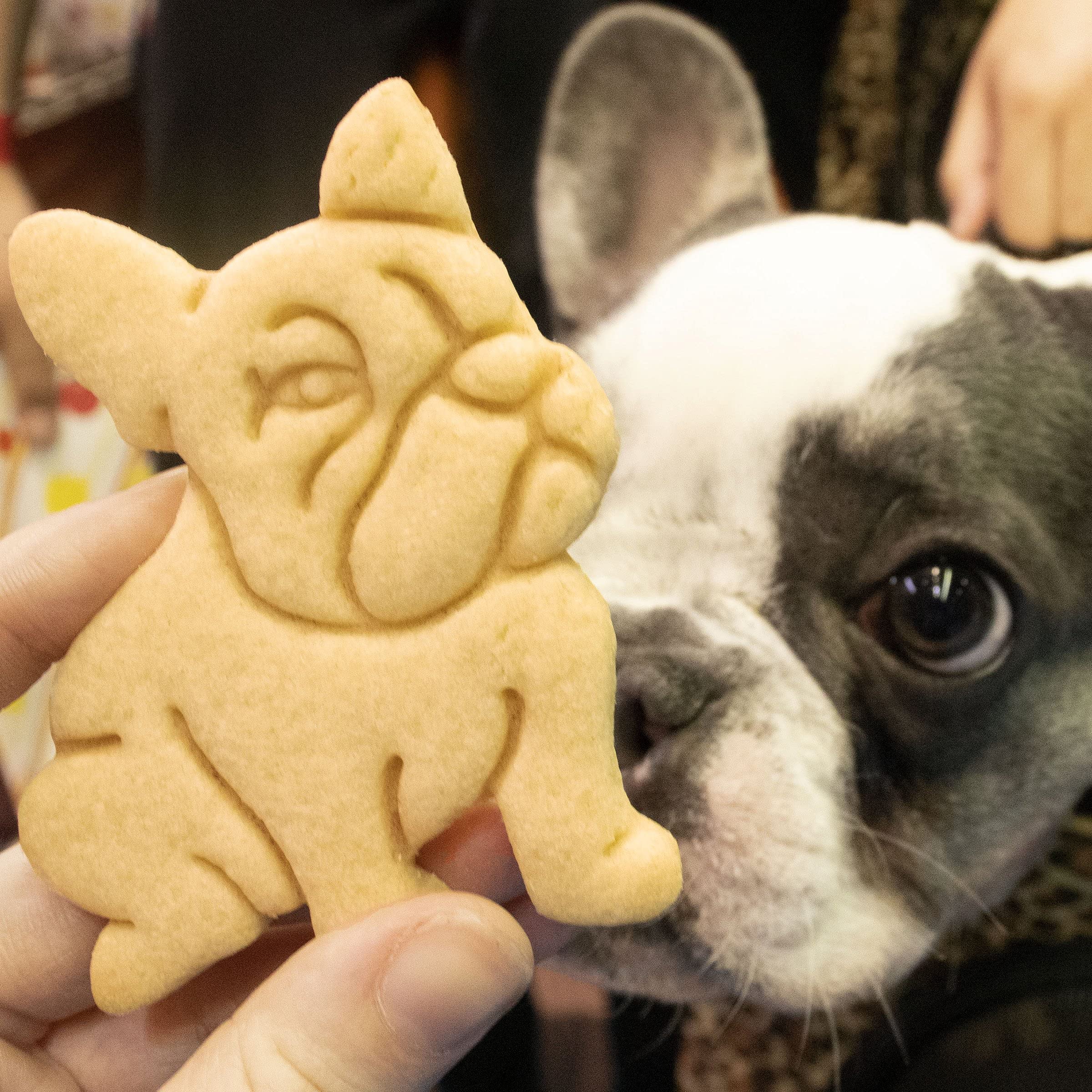 French Bulldog Cookie Cutter - Stainless Steel Dog Bone Shaped Dough Mold for Baking, Cake Decorating, DIY Crafts - Perfect for Birthday Parties, Pet Lovers Gifts, Holiday Treats