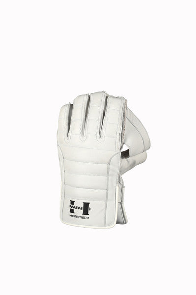 Premium Hammer Black Edition Cricket Wicket Keeping Gloves - Durable & Comfortable for Professional & Amateur Players - Perfect for Practice, Matches & Training Sessions