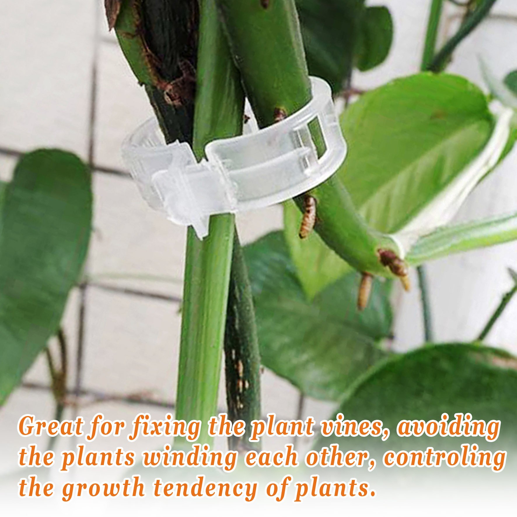 Strong 25mm Tomato Clips for Garden Trellis Support - 100 Pack for Vegetables & Vines